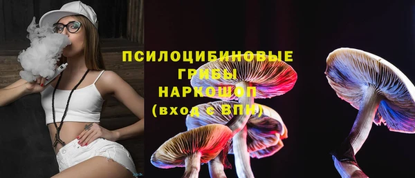 гидра Магас