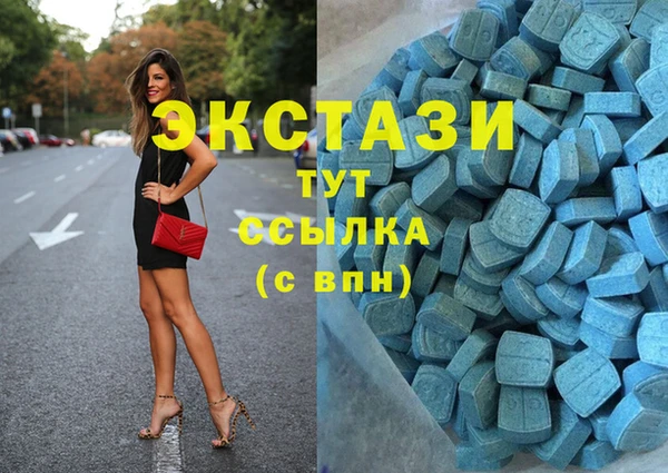 гидра Магас