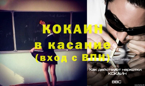 гидра Магас