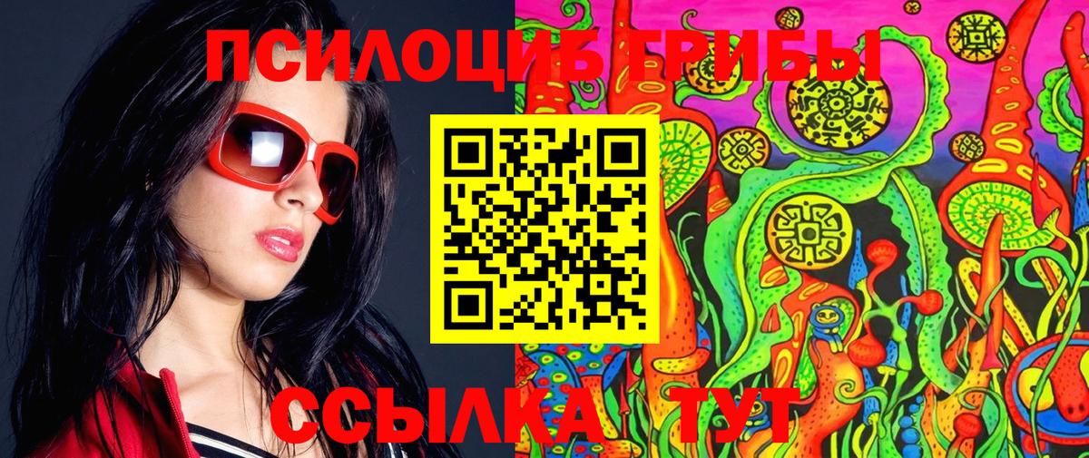 Псилоцибиновые грибы Psilocybe  дарнет шоп  Галлюциногенные грибы MAGIC MUSHROOMS  Черняховск  Вход с VPN 