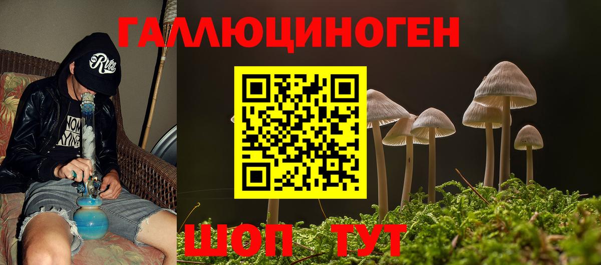 Галлюциногенные грибы MAGIC MUSHROOMS Черняховск