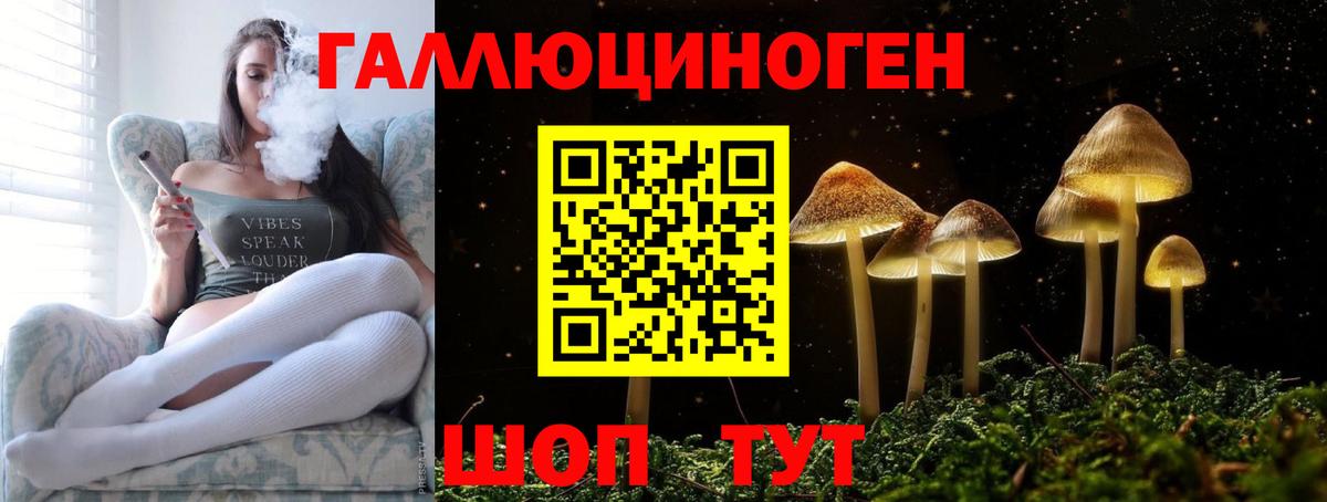 Псилоцибиновые грибы Magic Shrooms  Вход с VPN  Псилоцибиновые грибы GOLDEN TEACHER  закладка  Черняховск 